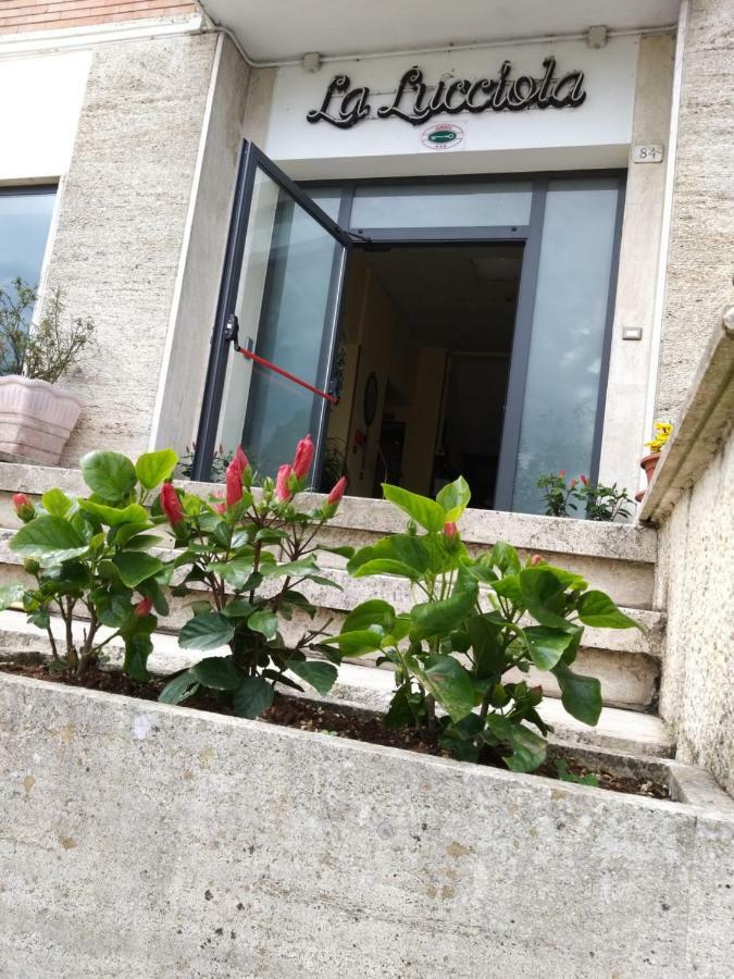 Hotel La Lucciola Chianciano Terme Ngoại thất bức ảnh